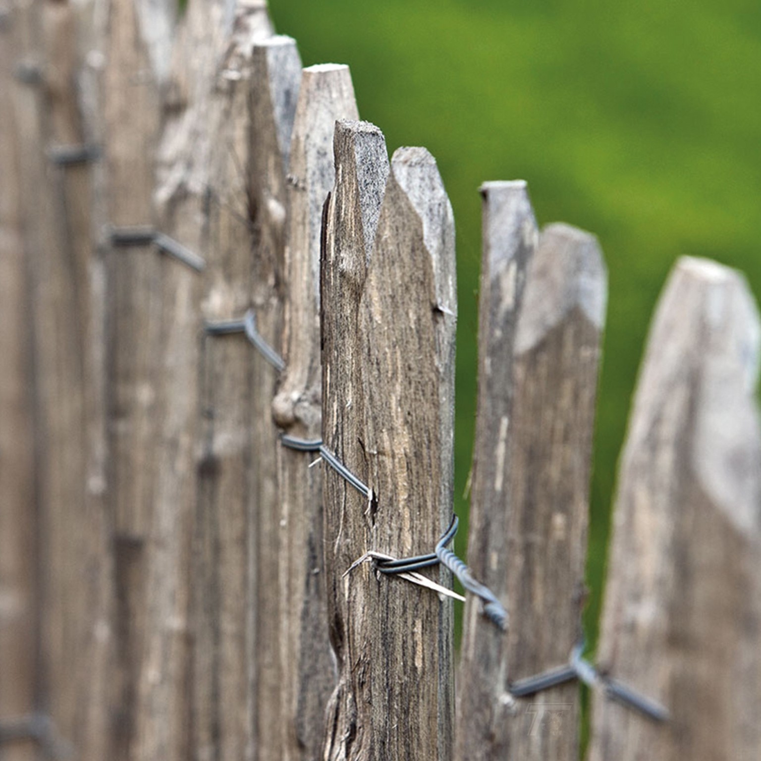 675aad5e6fcef-ad38afba26609e1de8e51d9cf3d234af313509ca-grpitm-tdi-v01-chestnut-fence-3wires-50mm-f-v01-0-202112jpg