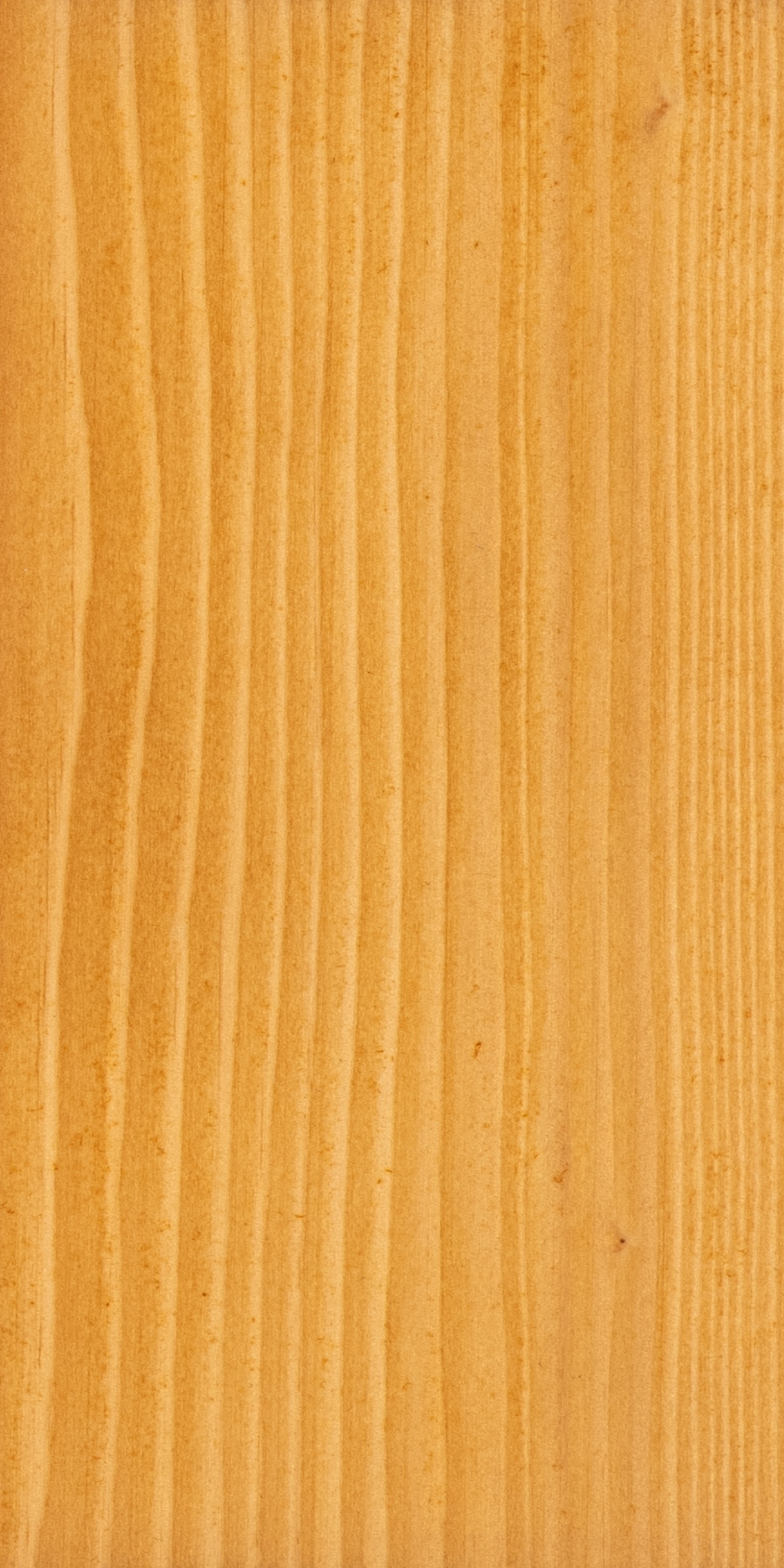 66900c872033b-e082e7a3881a52d58e708de71c0fc86da53f7889-p019668-c-v01-0-202307jpg