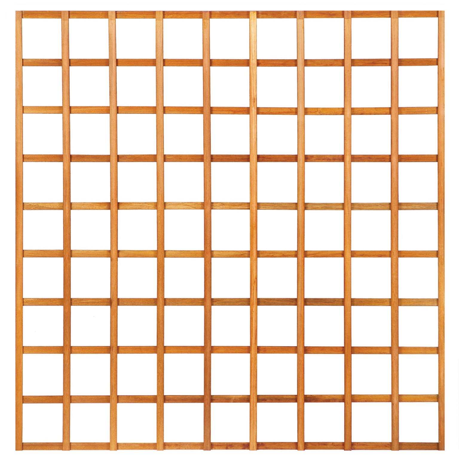 668fff7863e65-3e018ae44f439c9b1cb28aea0dfbc15306c4551b-p002545-c-v01-0-202405jpg