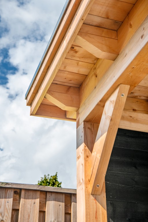 6690118b13c94-e7185a398a2c6c08977fe075d594a32bf7aff254-p021309-r-v90459-0-202305jpg